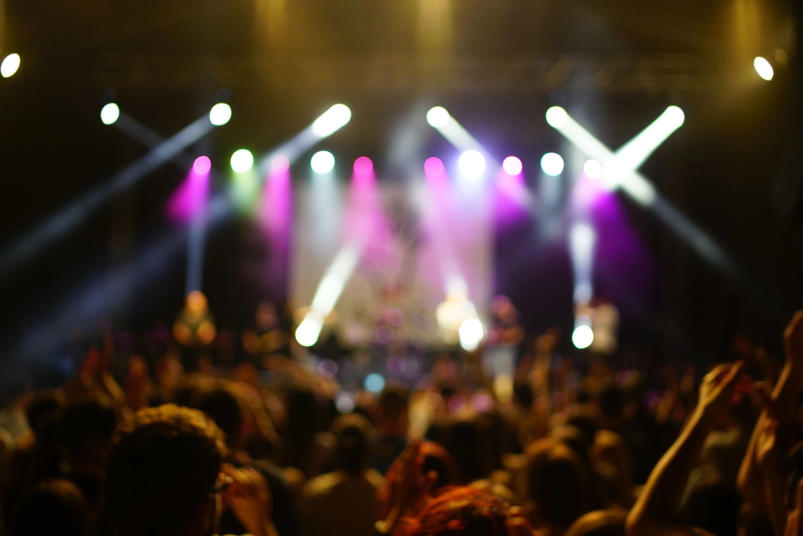 Silhouette of a crowd at a concert