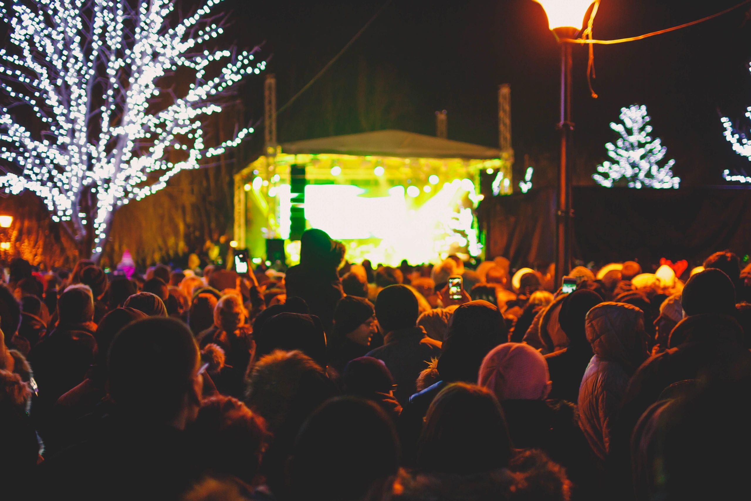 Crowd at a live event