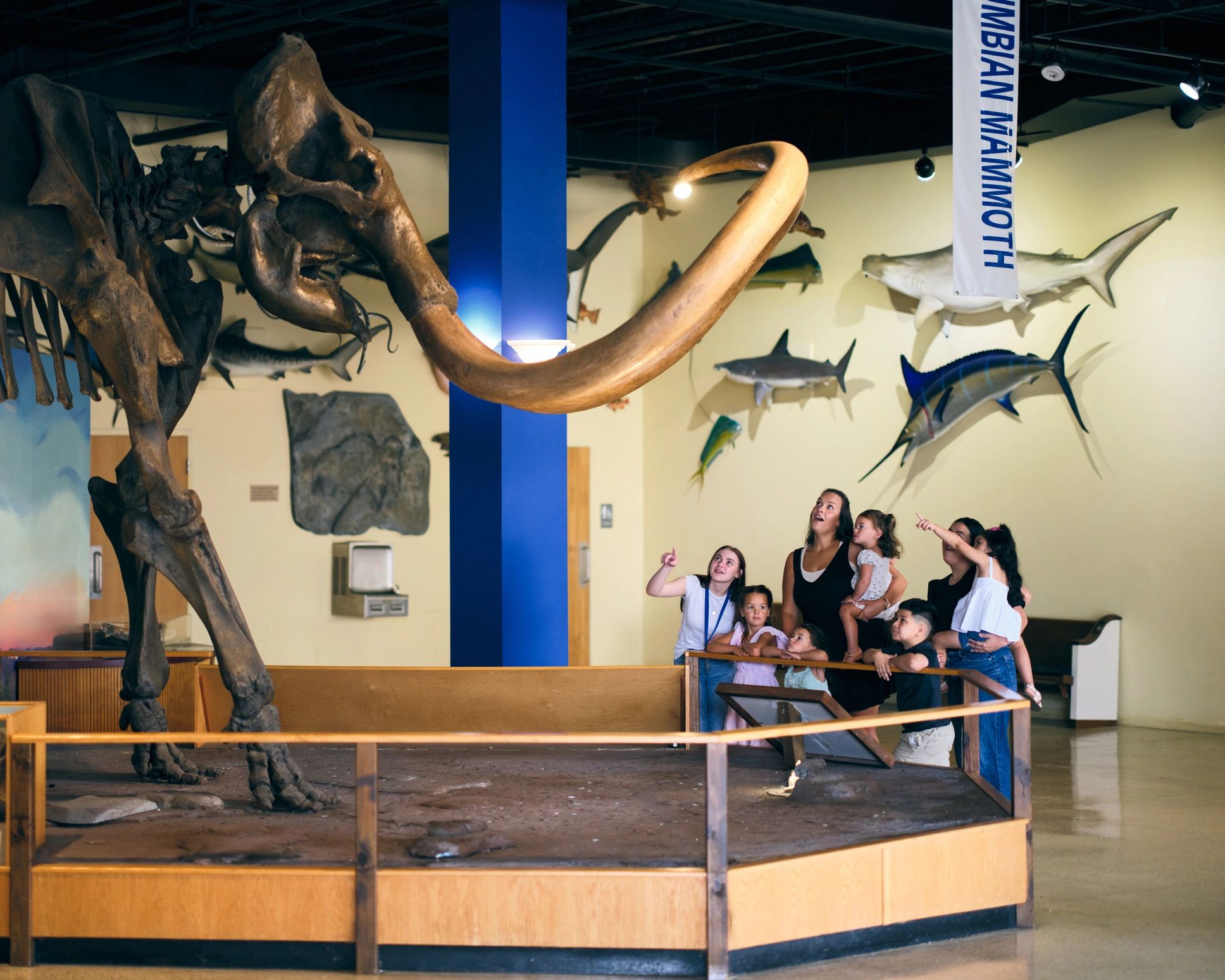 Families viewing a museum exhibit